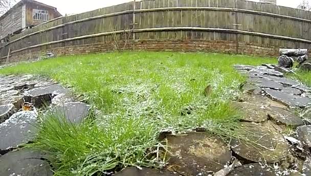 SUPER SLOW MO Neige — Video