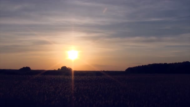 Sonnenuntergang — Stockvideo