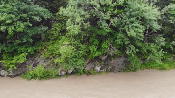 Río Montaña Después Fuertes Lluvias Agua Del Río Está Sucia — Vídeos de Stock