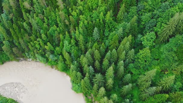 Bergrivier Zware Regenval Het Water Rivier Vuil Van Bodem Stenen — Stockvideo