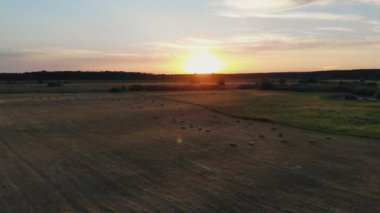 Bir çiftçi traktörünü tarladan geçirip samanlarını toplar ve balyaya çevirir.