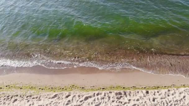 从空中俯冲下来的天堂沙滩海浪冲击着海岸 自然4K — 图库视频影像