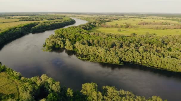 Desna River Aerial Landscape Sunny Day Clear Sky — 图库视频影像