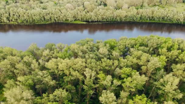 Desna River Aerial Landscape Sunny Day Clear Sky — 图库视频影像