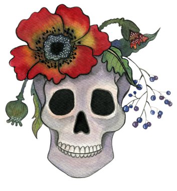 Kırmızı gelincikli kafatası