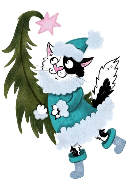 Black White Cat Blue Winter Coat Hat Carrying Christmas Tree —  Fotos de Stock
