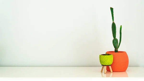 Кактус Ярко Оранжевом Цветочном Горшке Маленькое Алое Растение Ярко Зеленом — стоковое фото