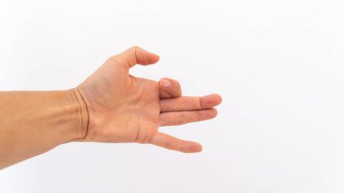 Beyaz arkaplanda gölge oyunu için izole el hareketi köpeği