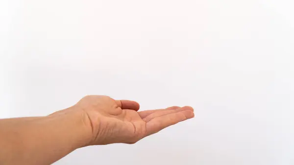 Die Handfläche Der Linken Hand Auf Weißem Hintergrund — Stockfoto