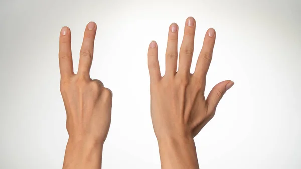 Mãos Mulheres Contam Com Dedos Atrás Palmas Foto Alta Qualidade — Fotografia de Stock