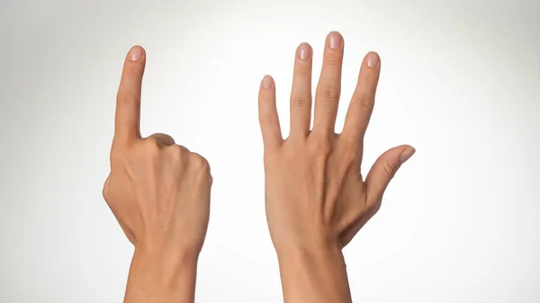 Kadın eli, avuç içinin 6 parmağına güvenir. Yüksek kalite fotoğraf