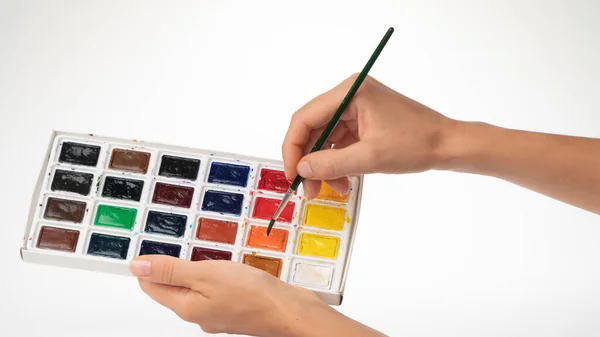 Womens Hands Hold Brush Watercolor Gesture Dials Paint Brush — Stock Photo, Image