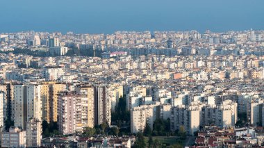 Şehir ormanı, gökyüzüne karşı çok katlı taş evler, şehrin arka planı. Yüksek kalite fotoğraf
