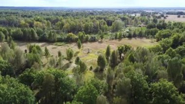 Orman üzerinde bir uçuş, bir açıklık, bir kuadrokopterden havadan fotoğraf, sonbahar manzarası. Yüksek kaliteli FullHD görüntüler