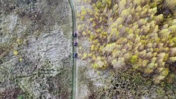 Drivers Atvs Αμαξάκια Στο Δάσος Του Φθινοπώρου Γυρίσματα Από Ένα — Αρχείο Βίντεο