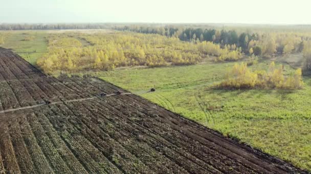 Quad Jízda Kole Přes Zorané Podzimní Pole Lesa Quadcopter Vysoce — Stock video