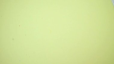 Masaya şeker dök, renkli bardakları dağıt. Yüksek kalite 4k görüntü