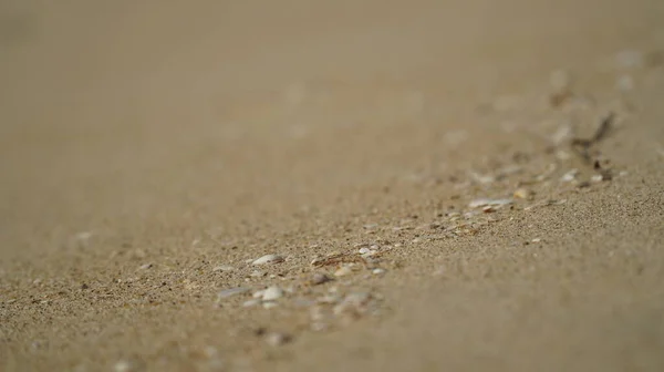 Areia Fina Com Grãos Conchas Close Foto Alta Qualidade — Fotografia de Stock