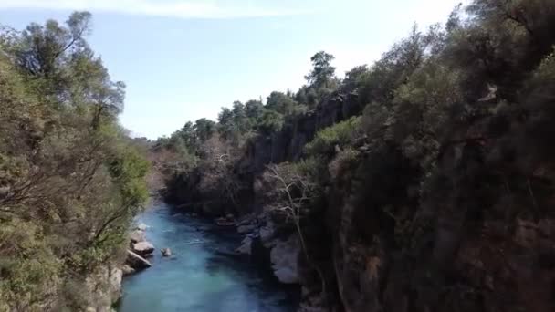 Drone Terbang Bawah Lengkungan Jembatan Sungai Dengan Pemandangan Hutan Dan — Stok Video