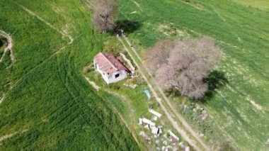 Yeşil bir tarlada harabe bir köy evi.