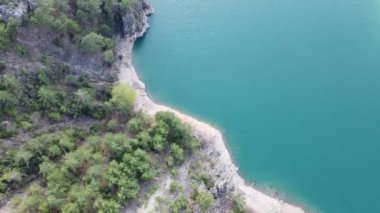 Orman ve mavi denizli kayalık sahil