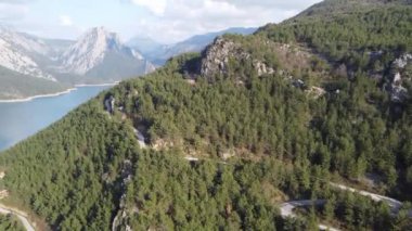 Dağlarda yılanlarla dolu, vadide orman ve dağ nehri olan bir vadi. Yüksek kaliteli FullHD görüntüler