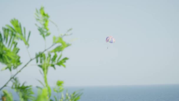 Parasailing Parachute Vlucht Zee Hoge Kwaliteit Beeldmateriaal — Stockvideo