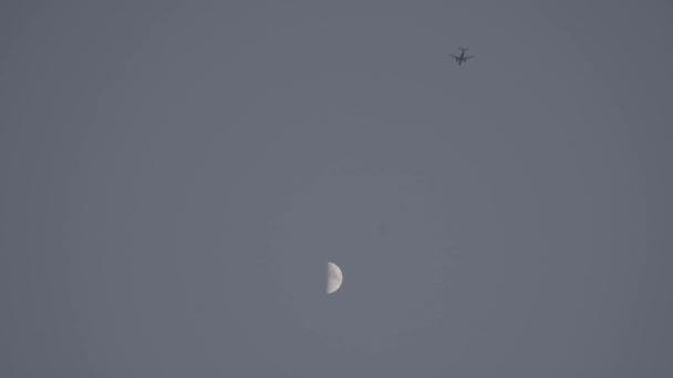 飛行機は夕方の暗い灰色の空の大きな月の隣を飛ぶ 高品質4K映像 — ストック動画