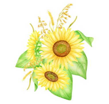 Dikenli ayçiçeği buketi suluboya çizimi. Parlak çiçek aranjmanı resmi. Beyaz arka planda izole edilmiş bir grup sarı çiçek. Davetiyeler, baskı ve düğün için botanik çizimi.