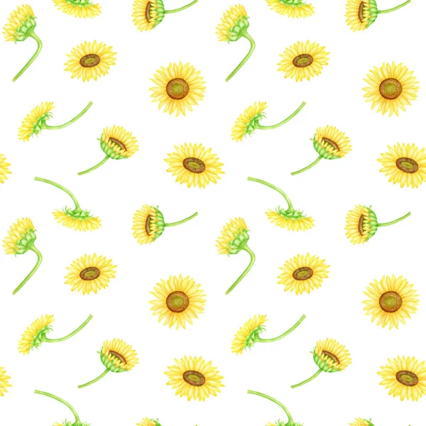 해바라기는 솔기없는 무늬입니다. 손으로 물감 농장의 꽃 그림을 그렸다. 하얀 배경에 섬유, 포장, 직물, 벽지등으로 분리되어 있는 노란 꽃 머리. — 스톡 사진