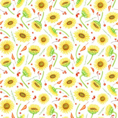 Sonbahar ayçiçekleri kusursuz desen. Elle boyanmış suluboya çiftlik çiçekleri, kırmızı böğürtlen ve yapraklar. Beyaz arkaplanda kumaş ve dizayn için izole edilmiş kürek dalları olan sarı çiçek başları.