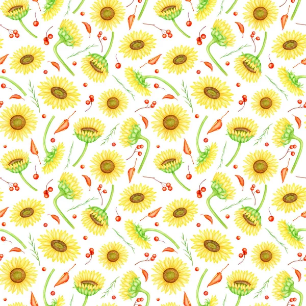 Πτώση ηλιοτρόπια αδιάλειπτη μοτίβο. Χέρι ζωγραφισμένα λουλούδια αγρόκτημα ακουαρέλα, κόκκινα μούρα και φύλλα εικονογράφηση. Κεφαλές κίτρινων λουλουδιών με κλαδιά rowan απομονωμένα σε λευκό φόντο για υφάσματα, σχέδιο. — Φωτογραφία Αρχείου