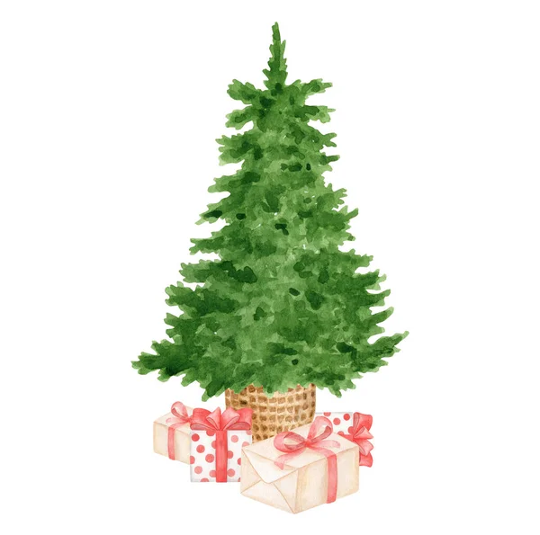 Watercolor Christmas Tree Gift Boxes Illustration Hand Painted Evergreen Fir — Stock Photo, Image