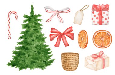 Köknar ağacı, hediye kutuları, şeker kamışı, kurak kurdele ve kuru portakal dilimleriyle suluboya Noel seti. Beyaz arka planda elle boyanmış Noel elementleri çizimi. Klasik kış çizimi