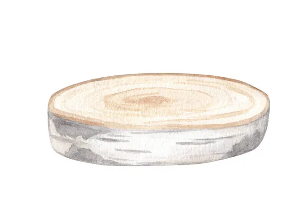 Acuarela de abedul rebanada de madera. Tablero pintado a mano de madera blanca aislado en blanco. Elemento de diseño rústico natural ilustración para tarjetas, bodas, impresión, decoración. — Foto de Stock