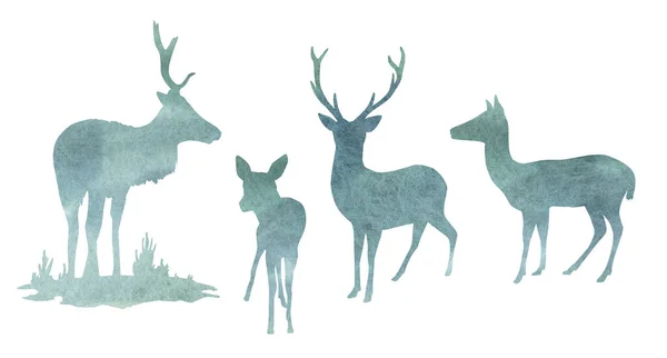 Watercolor deer silhouette with watercolor texture set. Hand drawn buck, doe, fawn deer sketch. Woodland animals drawing isolated on white background. Fairy reindeer for cards, decoration, Christmas. — Stock Photo, Image