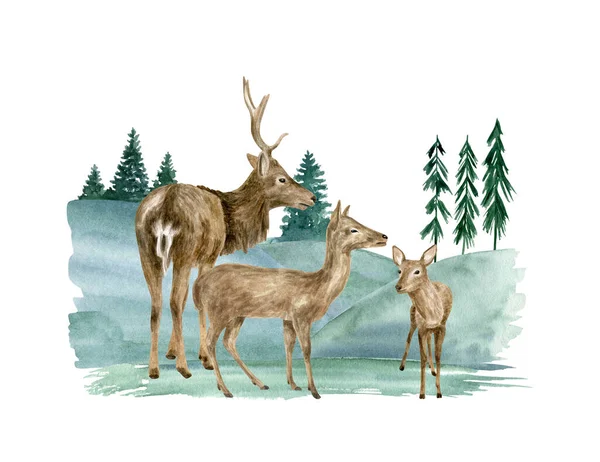 水彩鹿の家族のイラスト 手描きの現実的なバック 行うと好きな鹿のスケッチ 白い背景に孤立して描かれた動物と森の風景 トナカイの構図 — ストック写真