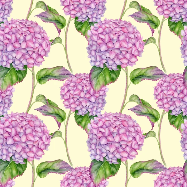 Akvarell Hydrangea sömlöst mönster. Handmålade rosa hortensia blomma med blad och stam på pastell gul bakgrund. Blommande växt upprepad design för tapeter, Alla hjärtans dag, tyger. — Stockfoto
