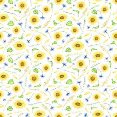 Suluboya çiçekleri kusursuz desen. Elle boyanmış ayçiçekleri, çiçek çiçekleri, yapraklar, taç yaprakları ve buğday dikenleri çizimleri. Çiçek yinelenen arka plan sarma ve kumaşlar için beyaza izole edildi.