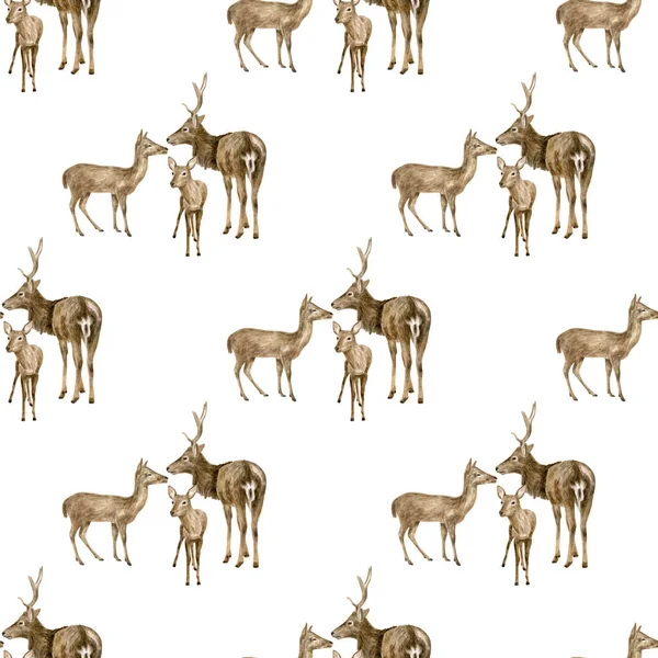 Watercolor deer family seamless pattern. Hand painted realistic buck, doe and fawn deer isolated on white background. Brown reindeer drawing, forest mammal. Woodland animals for fabric, print, design. — 图库照片