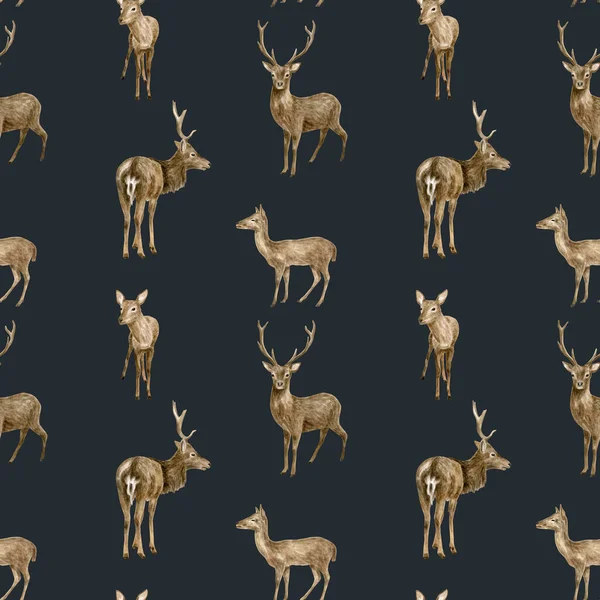 Watercolor deer seamless pattern. Hand painted realistic whitetail buck, doe and fawn deer on black background. Woodland animals drawing. Brown reindeer for wallpaper, design, fabric, print. — Stock Photo, Image