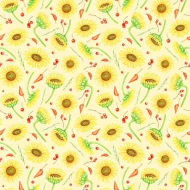 Sonbahar ayçiçekleri kusursuz desen. Elle boyanmış suluboya çiftlik çiçekleri, kırmızı böğürtlen ve yapraklar. Kumaş ve tasarım için pastel arka plan üzerinde rowan dalları olan sarı çiçek başları