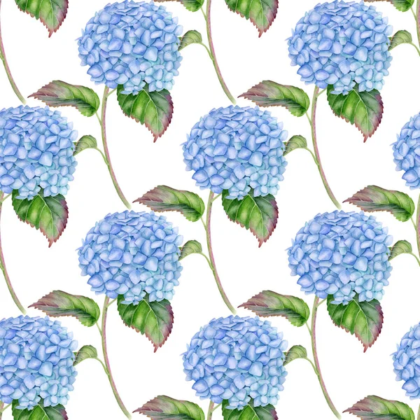 Акварель Hydrangea Бесшовный Узор Голубой Цветок Гортензии Листьями Стеблем Выделенными — стоковое фото