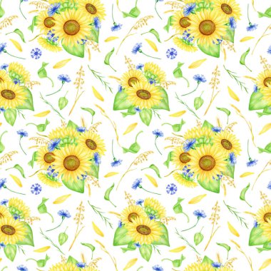 Çiçeksiz suluboya desen. Elle boyanmış ayçiçeği buketleri, çiçek çiçekleri, yeşillik ve buğday desenli resimler. Yaz yinelenen arkaplan sarılar ve kumaşlar için beyaza izole edildi
