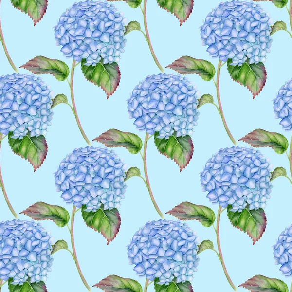 Акварель Hydrangea Бесшовный Узор Голубой Цветок Гортензии Листьями Стеблем Голубом — стоковое фото
