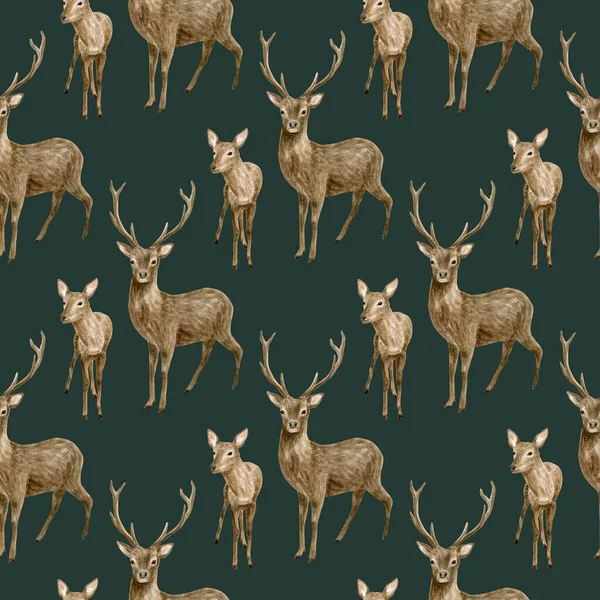 Watercolor deer seamless pattern. Hand painted realistic buck with antlers, baby fawn deer on dark background. Woodland mammal animals drawing. Brown reindeer for wallpaper, design, fabric. — Foto de Stock