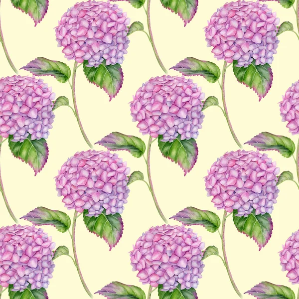 Vannfarger Hydrangea sømløst mønster. Håndmalt rosa Hortensia-blomst med blader og stilk på pastellgul bakgrunn. Fôringsanlegg, gjentatt utforming for tapeter, valentiner, stoff. – stockfoto