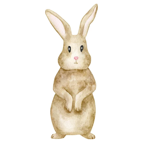 Watercolor Rabbit Illustration Hand Painted Cute Brown Bunny Isolated White — 스톡 사진