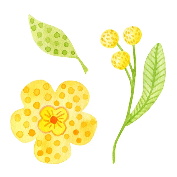 Watercolor Yellow Flowers Leaves Set Hand Painted Spring Floral Clipart — Stockfoto