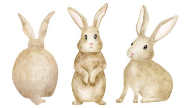 Watercolor rabbits set. Hand drawn brown little bunny sitting, standing and back view. Baby hare animal isolated on white background. Easter bunny illustration, farm pets clipart